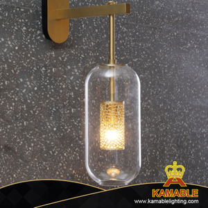 Delicate Clear Glass Gold Mesh Metal Hotel Wall Lamp (MB80520-1-625T)