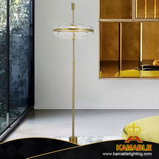 Living Room Decorative Luxury Clear Glass Floor Lamp (KA117F)