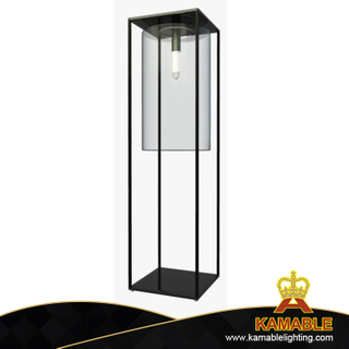 Modern Metal and Glass Standing Floor Lamp (KPL1807)