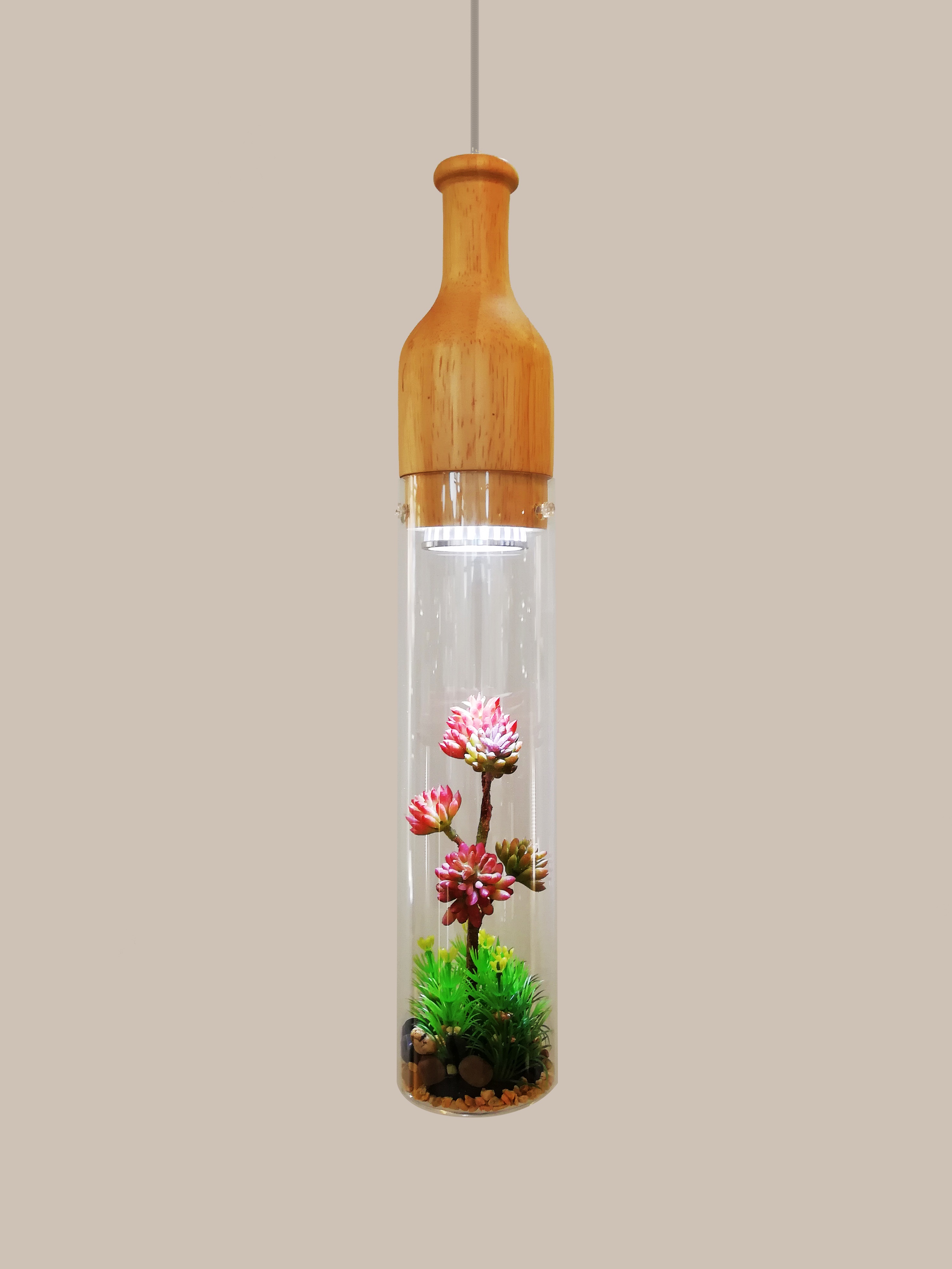 Wood Glass Botany Pendant Hanging Modern Decorative Light (89077S)