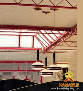 Modern Decorative Dinging Room Pendant Lamp (LTG-02)