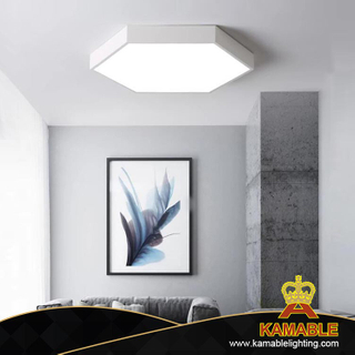 Steel Decoration Hexahedron LED Ceiling Lights (KA88013S-1)