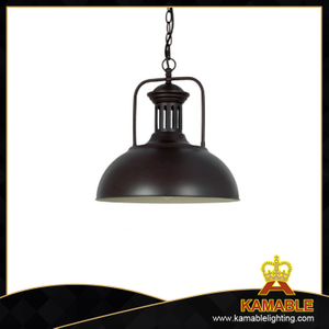 Black Steel Home Decorative Industrial Pendant Lamp (C725)