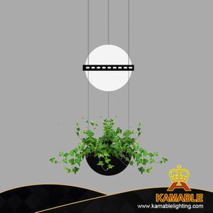 Villa Hotel Ecological Plant Hanging Pendant Lighting (HP813/1+1)